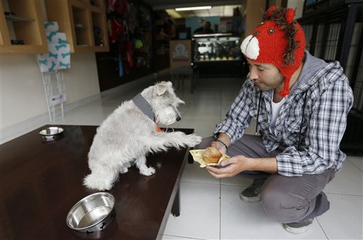 COLOMBIA-PERRO PANADERIA