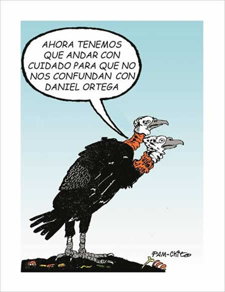 Caricaturas del domingo 13 de enero de 2013