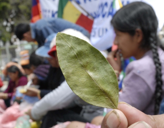 Evo Morales grita “viva la coca y mueran los yanquis”