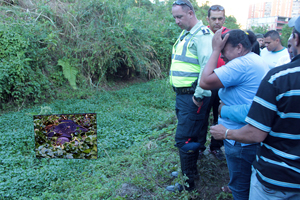 Hallan cadáver de vigilante en Carrizal