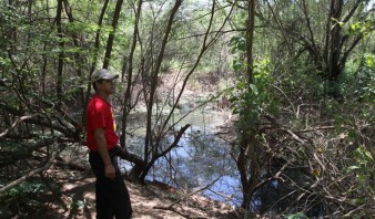 Anzoátegui pasó a estado de alerta por incremento del dengue