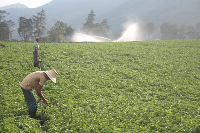 Fundaceta reactivará el sector agrícola, según el Presidente de la fundación