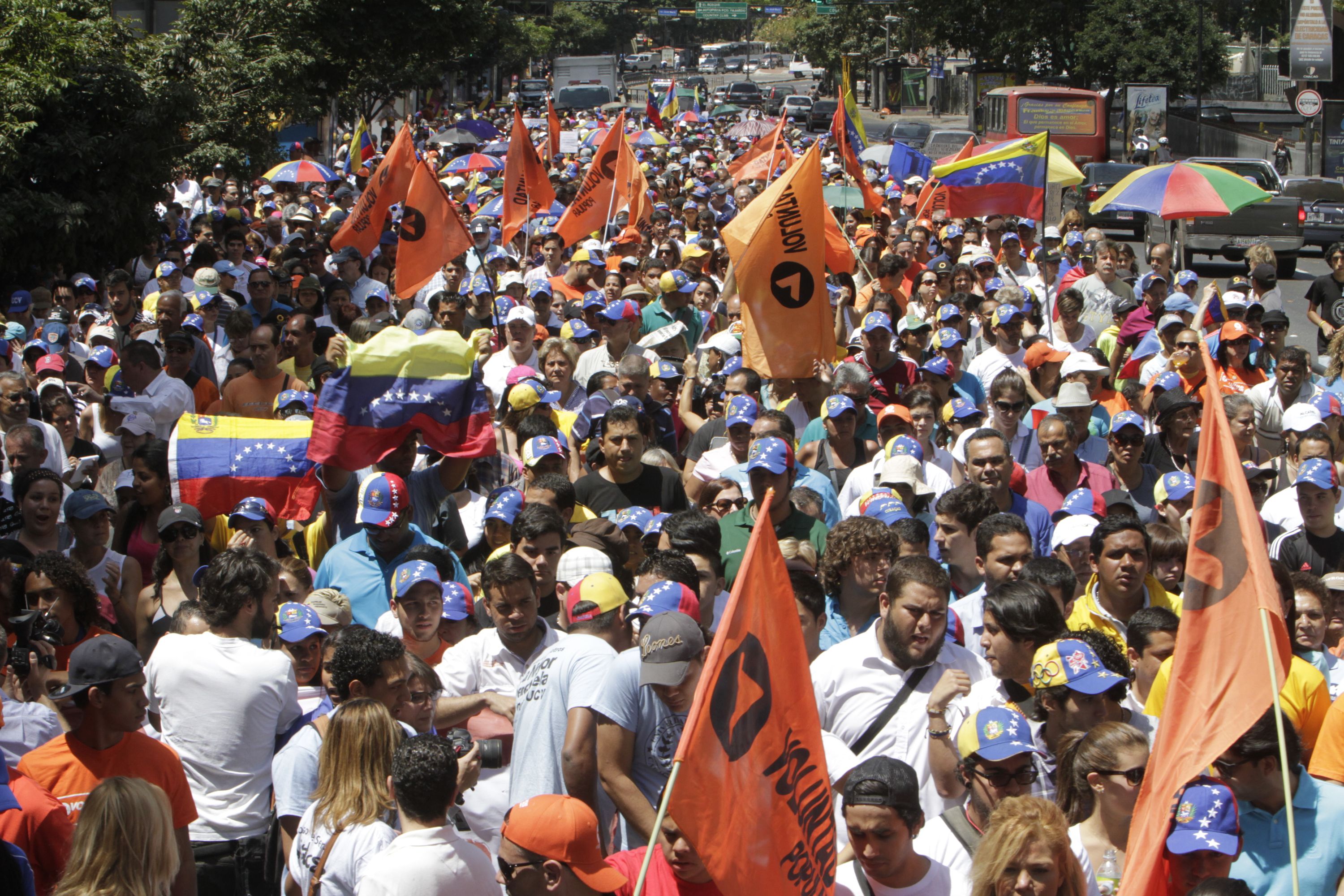 Estas son las FOTOS de la “marcha por la verdad” tomadas por AVN