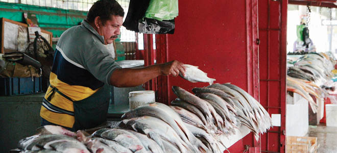 Precios del pescado escandalizan en Puerto La Cruz