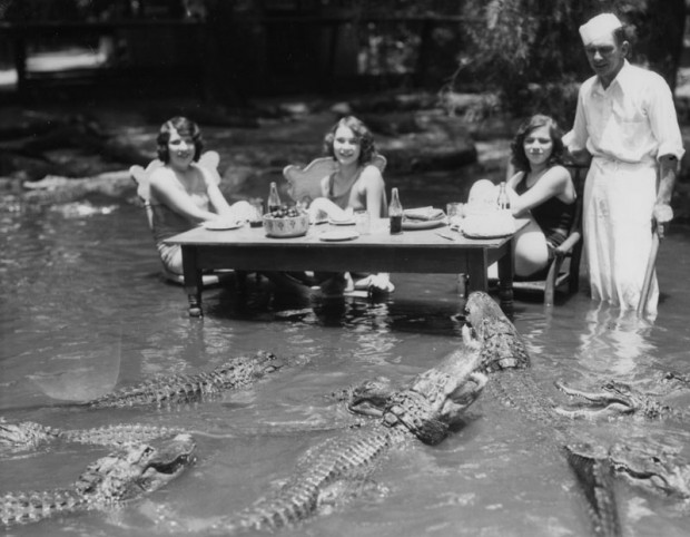 Locos abuelos locos: Una granja de cocodrilos de hace 100 años (FOTOS)