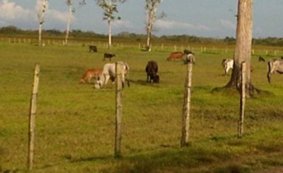 El Gobierno continuará expropiando tierras