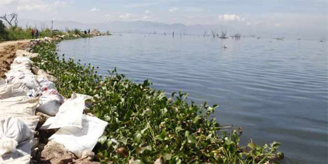 Crean organismo para el saneamiento y control del nivel del Lago de Valencia