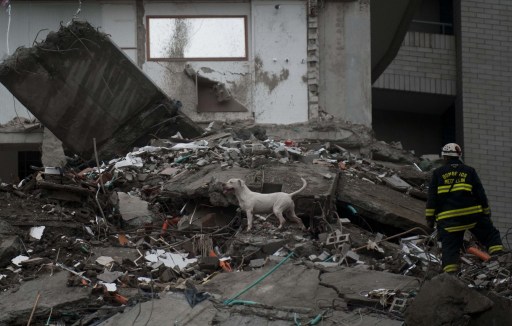 Identifican a primera víctima del edificio caído en Colombia