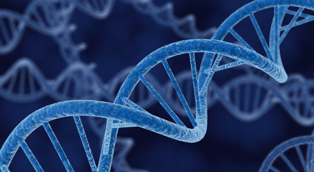 ¿Fin del envejecimiento? Descubre molécula que repara el daño oxidativo del ADN