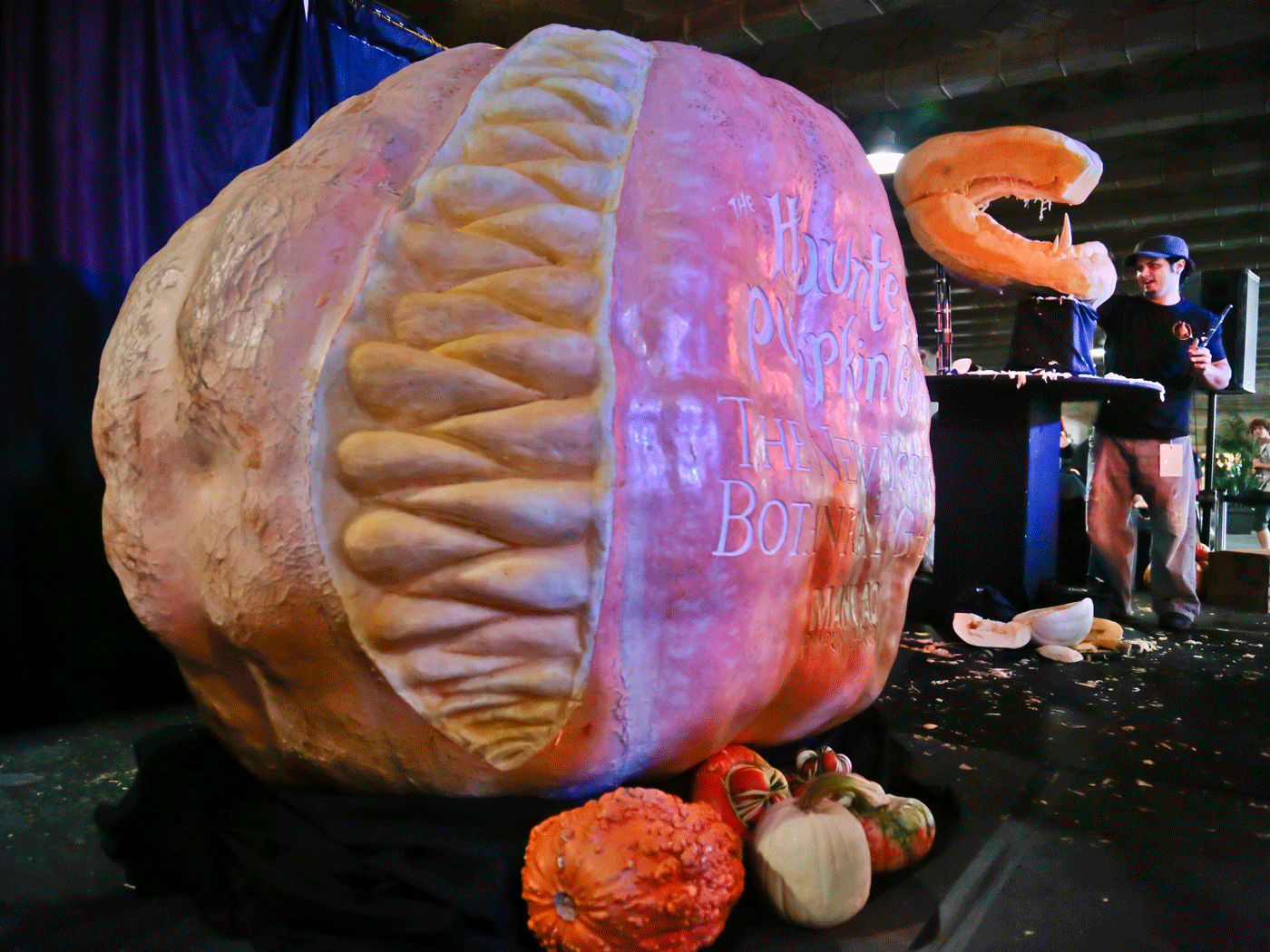 Calabazas gigantes invaden Nueva York (Foto)