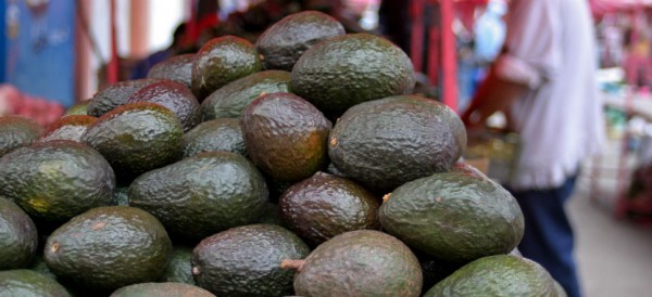 “Aguacates de sangre”: El lado oscuro del guacamole