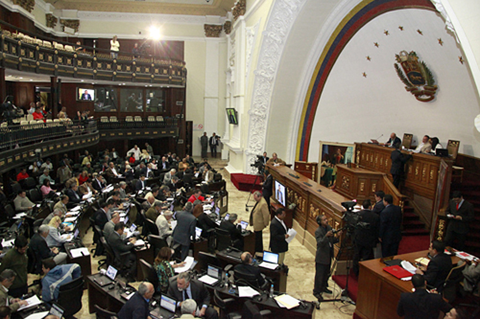 Diputados de la Unidad alertan sobre objetivos del Plan de la Patria