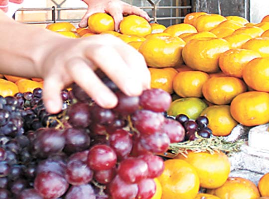 Larenses se debaten entre las uvas y las mandarinas