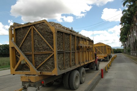 Productores de caña en riesgo de perder cosechas