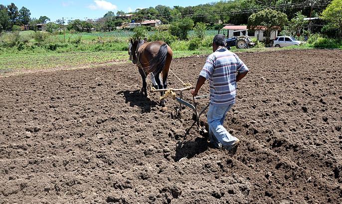 Falta de insumos y créditos para la producción agrícola