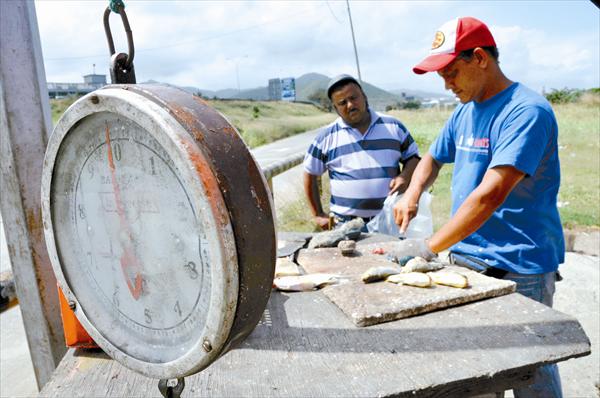 El pescado está carísimo y solo puede comprarse una vez al mes