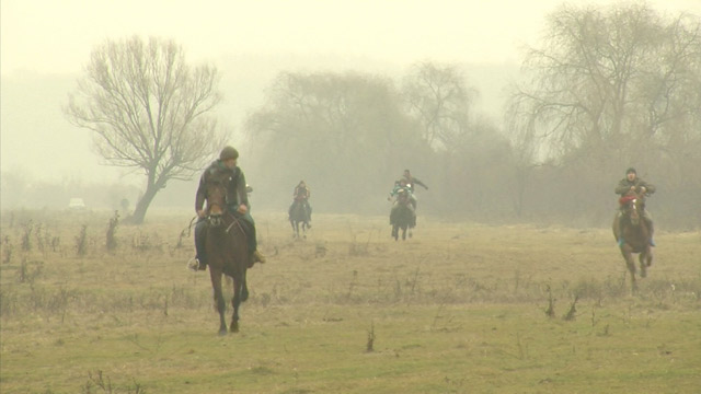 Los caballos benditos de Rumania (Video)