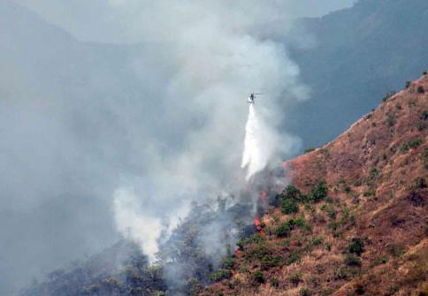 El Parque Henri Pittier registra 28 incendios en lo que va de temporada sequía