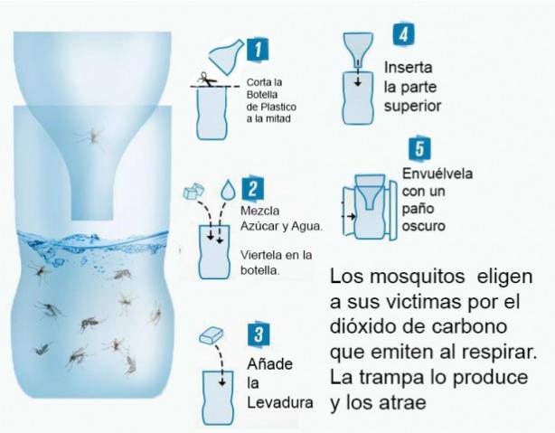 Trampa ecológica para atrapar zancudos (Imagen)