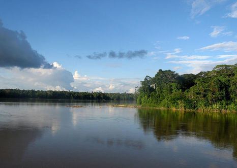 El Amazonas dejará de enfriar la atmósfera al emitir más CO2 del que absorbe