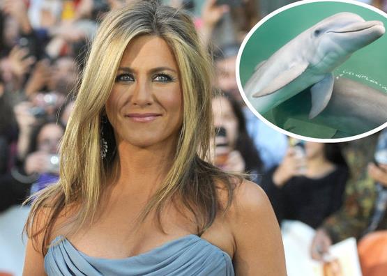 Por esta razón Jennifer Aniston no quiere viajar a Japón