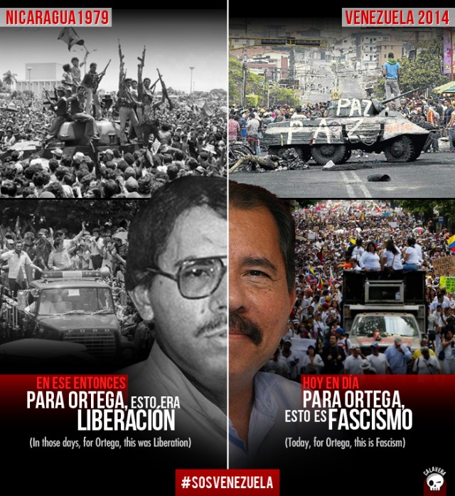 Ortega (1)