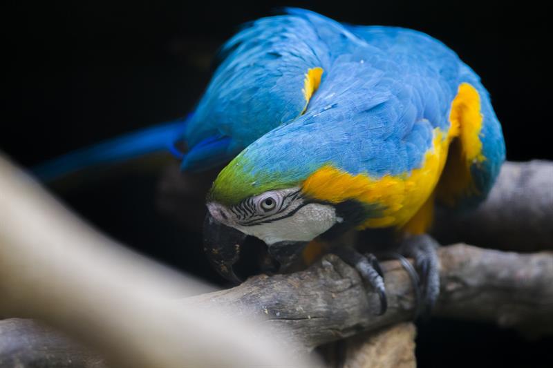 En Fotos: El Día de la Tierra en Caracas