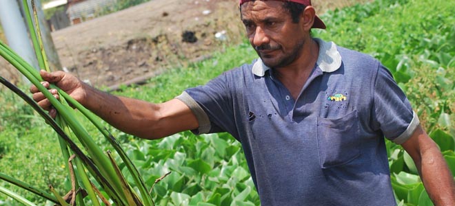 Al menos 65 familias afectadas por bote de petróleo en Lagunillas