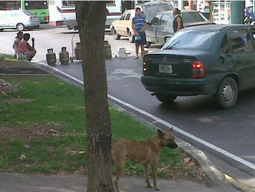 Protestan en Aragua por falta de gas (Foto)