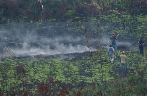 Protección Civil monitorea lugar donde apareció una fumarola