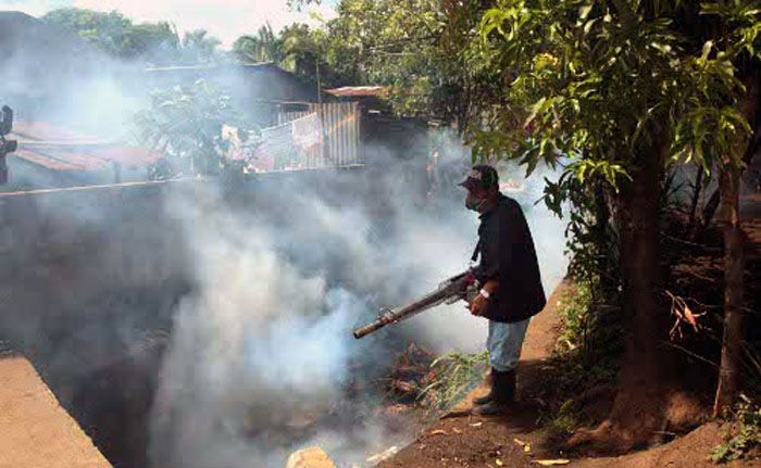 Salud Miranda refuerza saneamiento ambiental para controlar casos de dengue