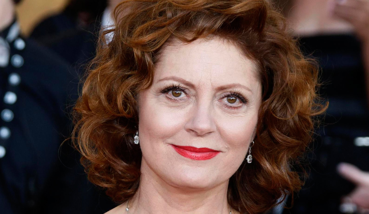 Roban en la casa de Susan Sarandon