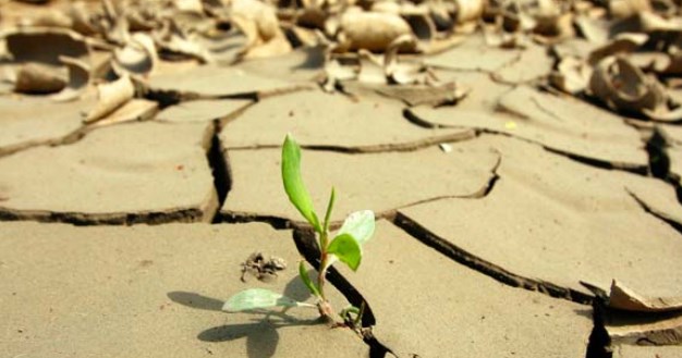 Estudio estima por primera vez influencia del Sol en el calentamiento global