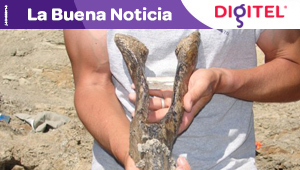 Describen el esqueleto de dinosaurio más completo hasta la fecha (Fotos)