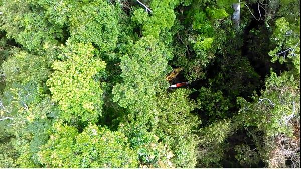 Hallan dos cadáveres entre restos del helicóptero caído en el estado Bolívar (Foto)