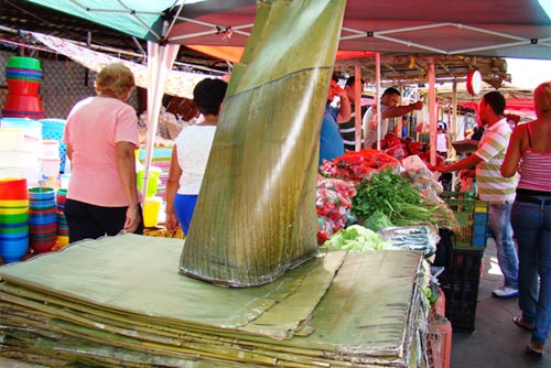 Hasta 70 bolívares podría costar un kilo de hoja de hallacas