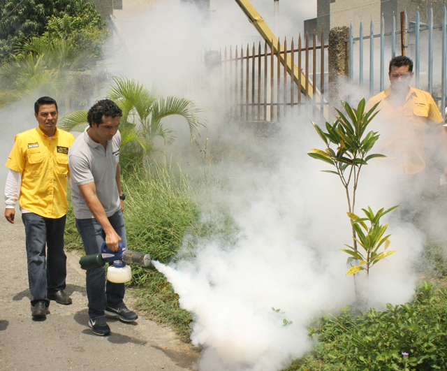 Mardo fumigando