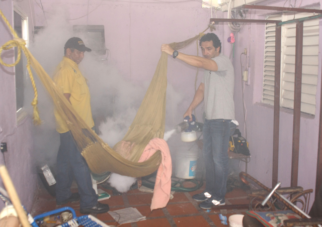 Mardo fumigando2