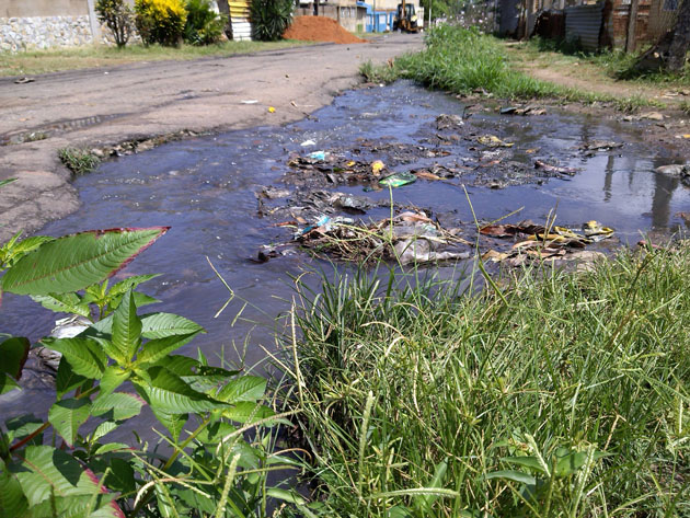 Foto: Bladimir Martínez Ladera/ Nueva Prensa de Guayana