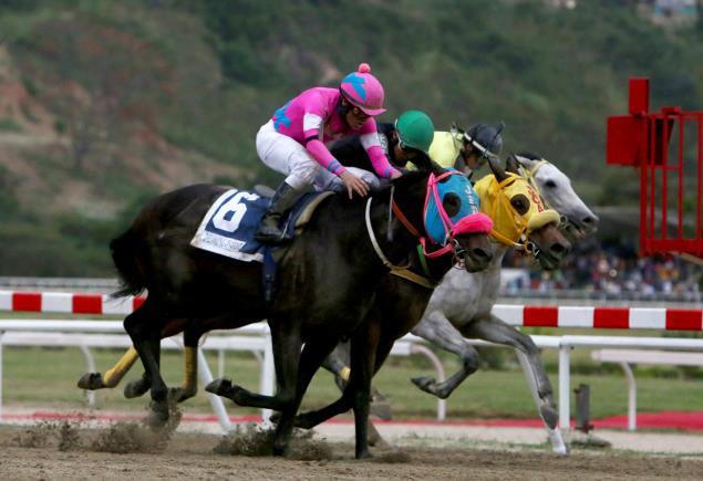 Dreaming of Gold ganó el Clásico Simón Bolívar con la monta de Santiago González