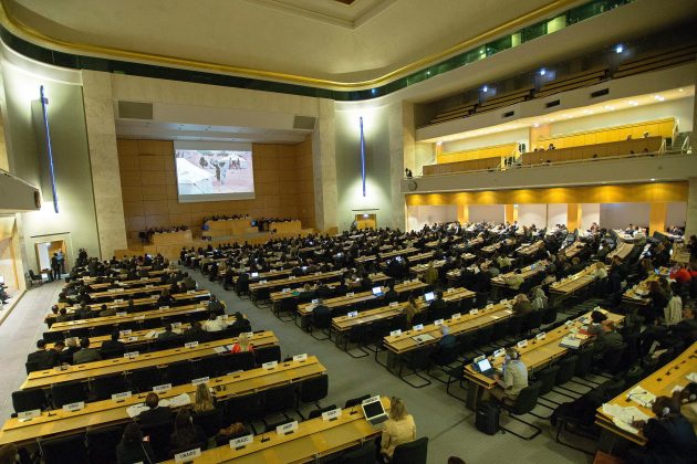 Sede de la ONU en Ginebra, Suiza (Foto archivo EFE)