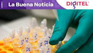 Identifican una proteína clave en el desarrollo del cáncer de páncreas