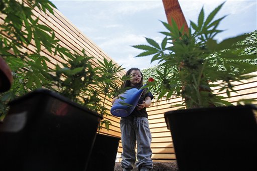 Foto: Javiera Canales mientras riega plantas de marihuana medicinal en su casa familiar / AP