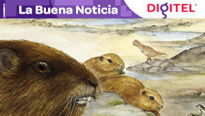 Descubren el cráneo del enigmático mamífero prehistórico Gondwanatheria