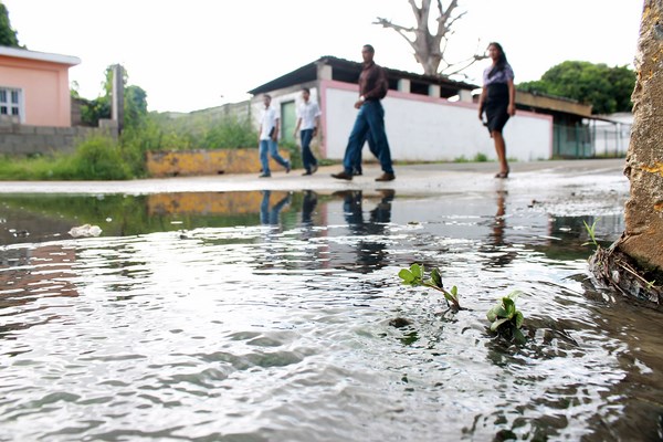 Foto: Luis Tovar