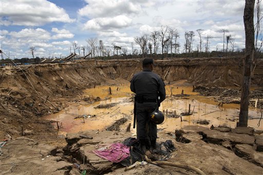 Greenpeace denuncia a Bélgica como coladero de madera tropical protegida