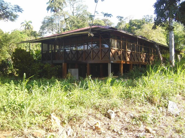 Desidia gubernamental acabó con Museo del Oro en El Callao