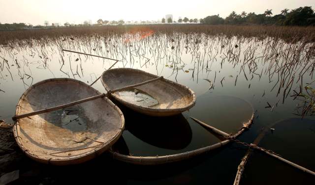 Foto: Barcos de bambú se ven parcialmente sumergidos cerca de un campo de flores de loto en el Lago del Oeste en Hanoi. REUTERS / Kham