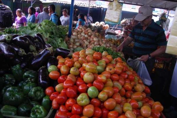 Precio del kilo de tomate está por las nubes