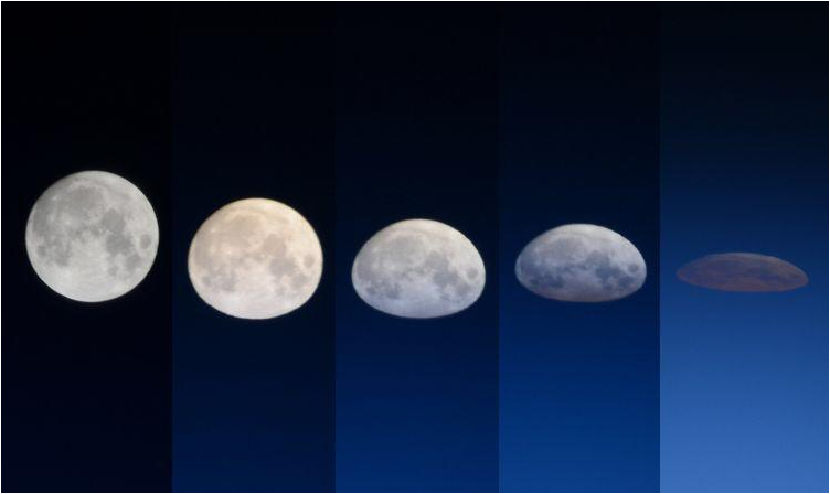 ¿La luna realmente afecta el comportamiento animal?